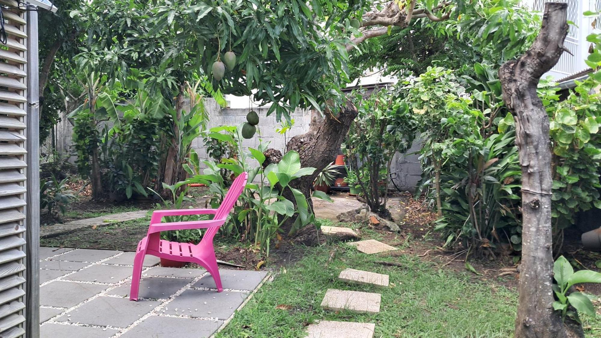 Agreable F2, Jardin, Garage, Fibre, Clim Ch Daire Fort-de-France Dış mekan fotoğraf